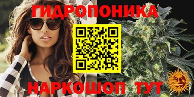 ешки Лесосибирск