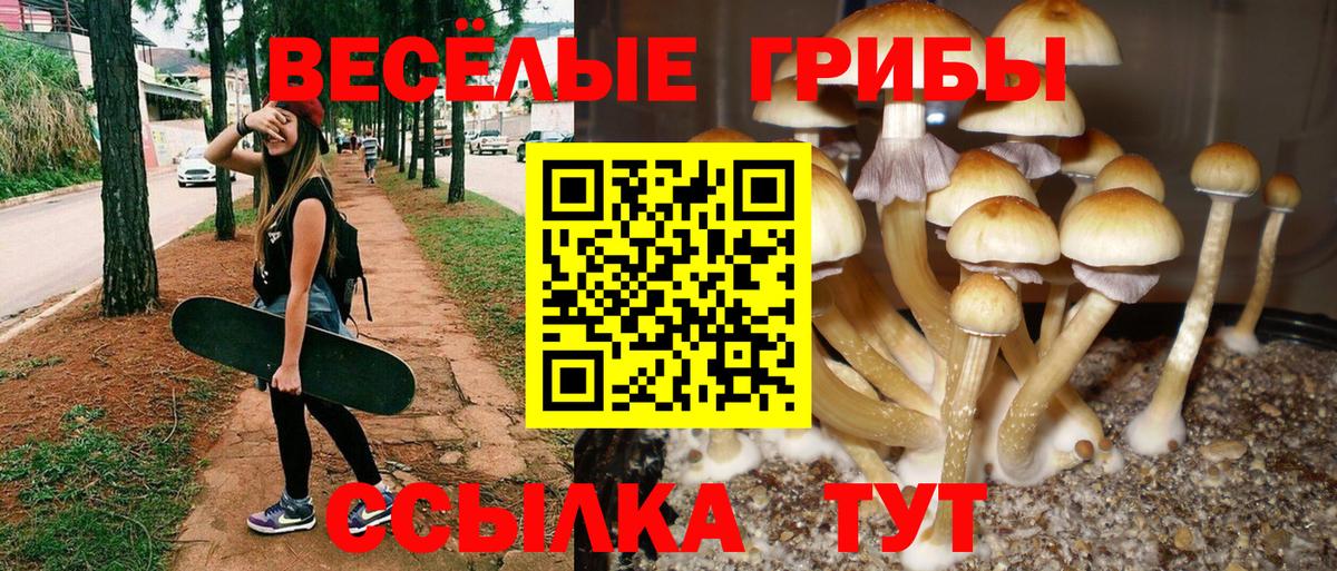 Псилоцибиновые грибы Psilocybine cubensis  наркошоп  Рыбинск  Вход с VPN  Псилоцибиновые грибы мухоморы 